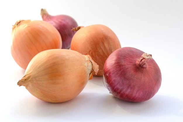 Onion vegetable bulbs on a white background