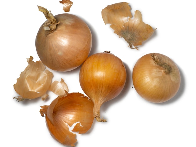 Onion on a white background Root isolate Fresh vegetables