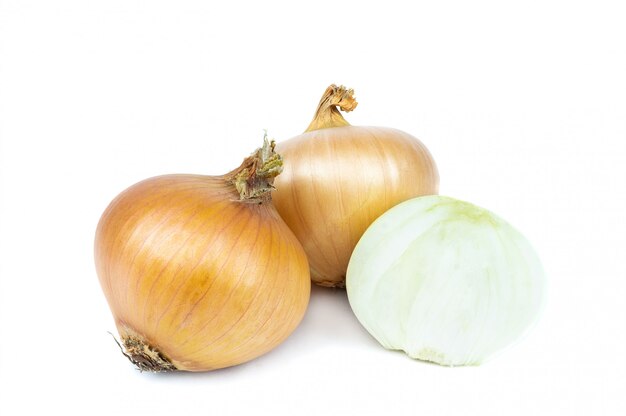 Onion on white