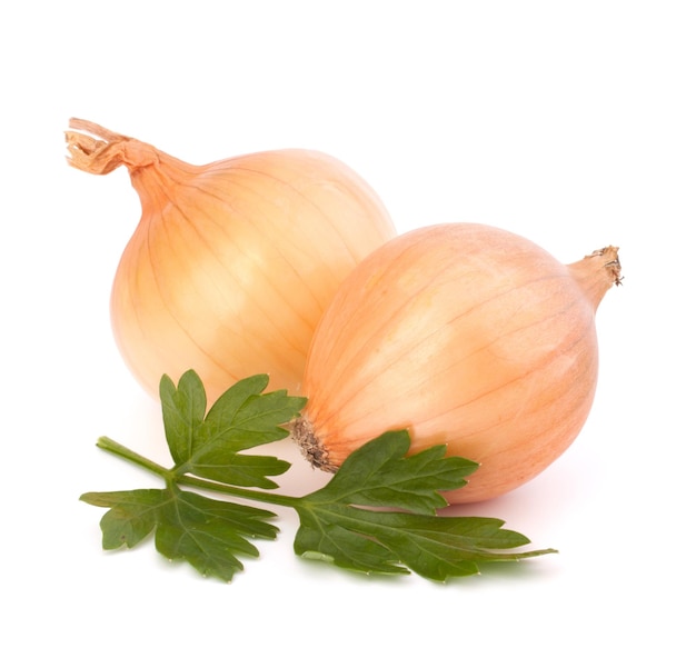 Onion