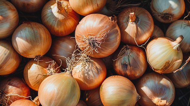 onions are displayed in a market including onions and onions