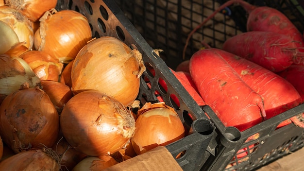 Onions in a crate with a box of red balls