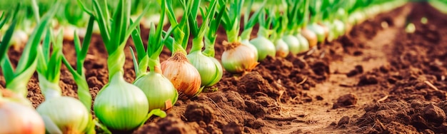 Onions growing in the garden field Generative AI