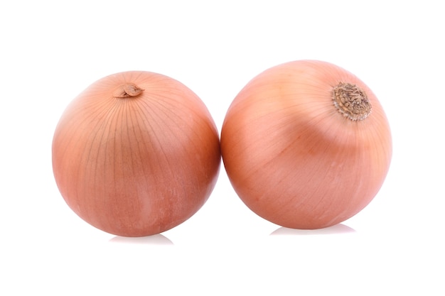 Onions isolated on white