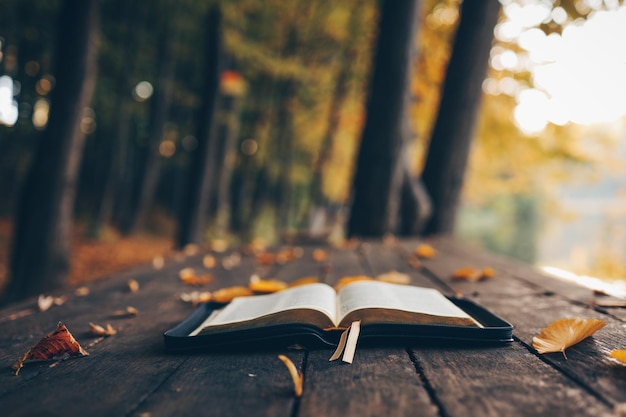 Open bible on a wooden table in the forest morning worship and prayer