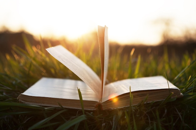 Open book on grass under the sun