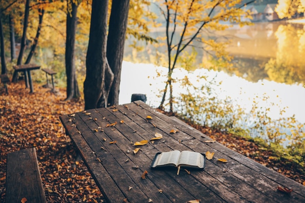 Open book on wood planks over outdoor natural background