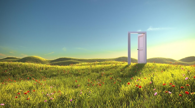 An open door in the meadow 3d render