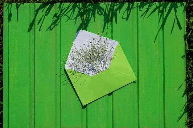 Open green envelope with wildflowers on a green wooden background hello from summer