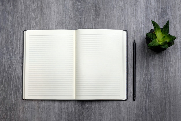 Open note pad with pen and cactus in pot on wooden background