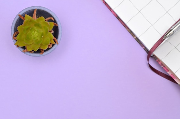 An open notebook and a succulent next to it on a light lilac background