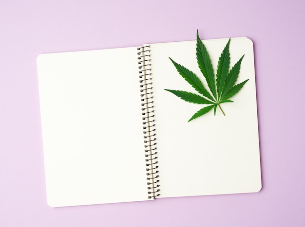 Open notebook with blank white pages and green leaves of hemp