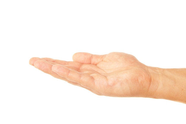 Open palm hand gesture of male hand. Isolated on a white background