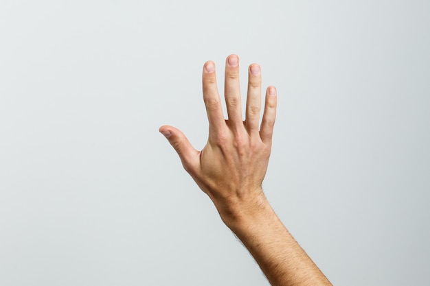 Open palm hand gesture of male hand.Isolated on white background.