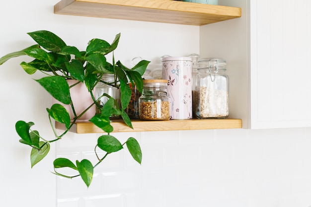 Open shelves in the kitchen.