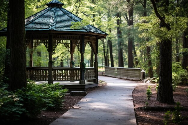 Open Walkway Wooden Gazebo Forest