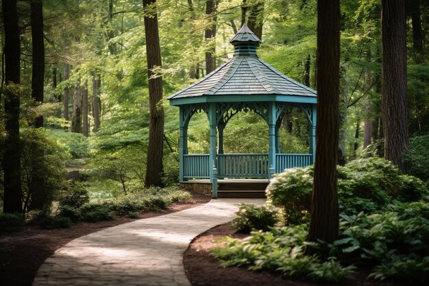 Open Walkway Wooden Gazebo Forest