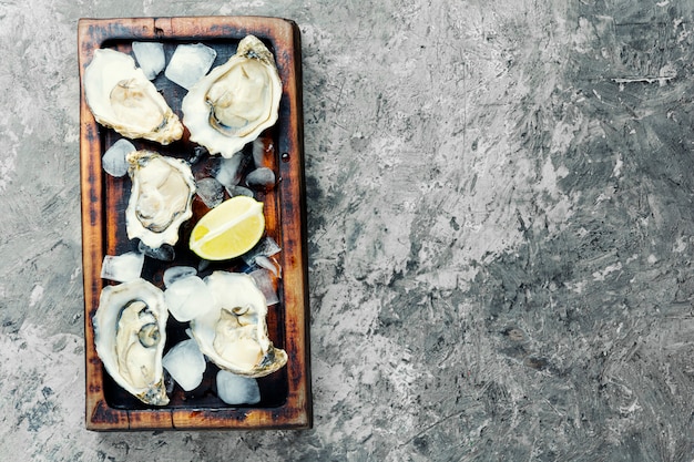 Opened oysters on cutting board