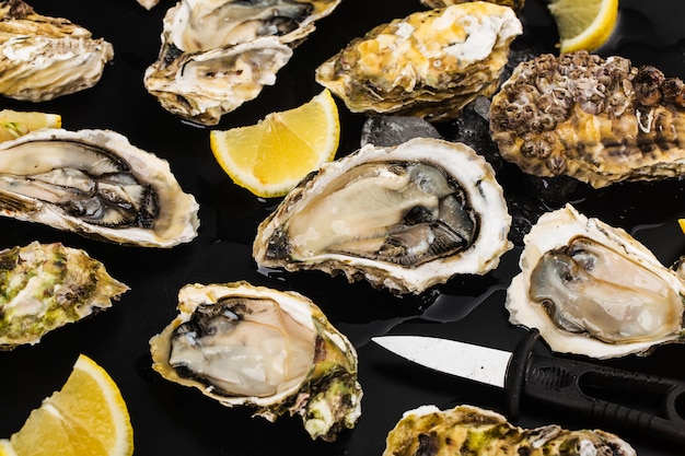 Opened oysters, ice and lemon on a black surface