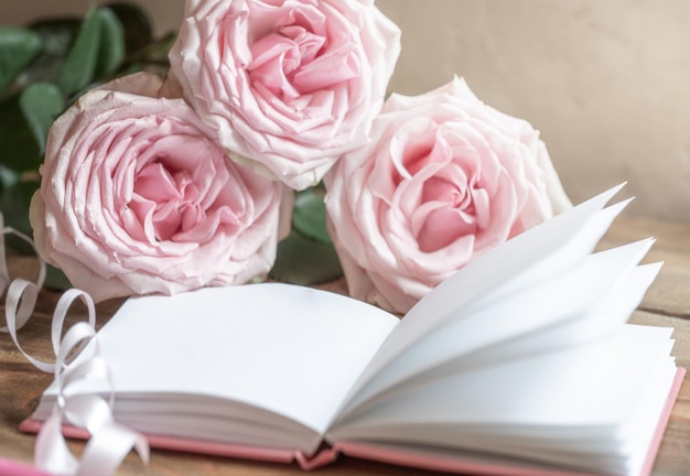 Opened white empty blank notepad and pink roses on light neutral background close up Soft focus