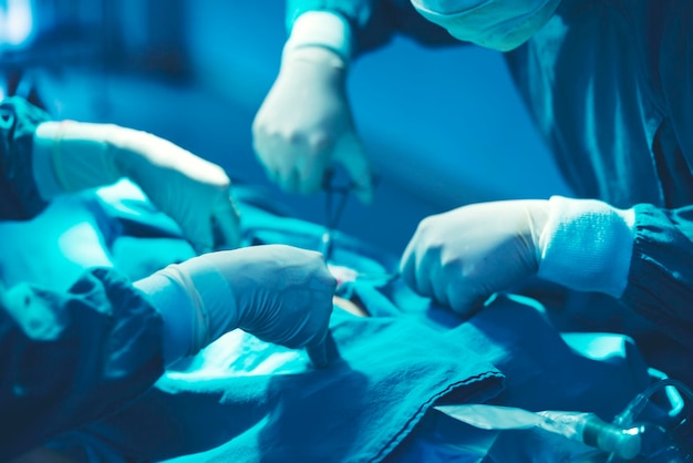 In a operating room, a doctor or medical team is performing a surgical procedure.