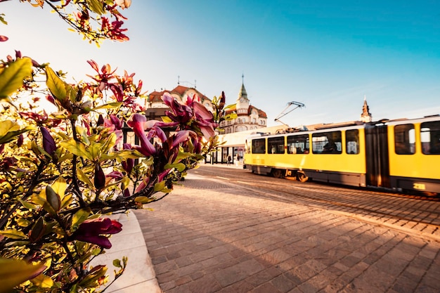 Oradea Romania with Union Square Piata Unirii The Capital of Art Nouveau Western Transylvania in Romania Historical cultural city in europe