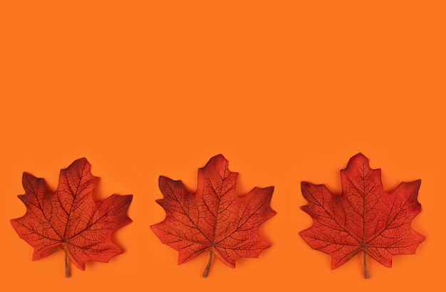 Orange autumn leaves on the orange background Autumn background Flatlay Top view Copy space