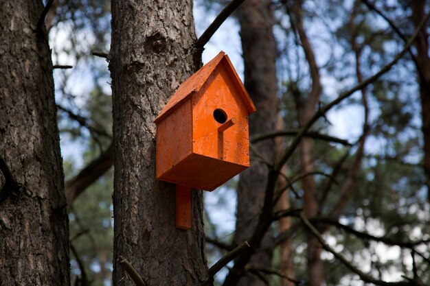 Orange birdhouse in a tree