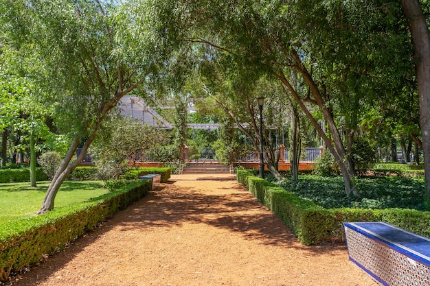 Orange brick stone path in the park with trees and privet on the sides. Concept health, road, tranquility.