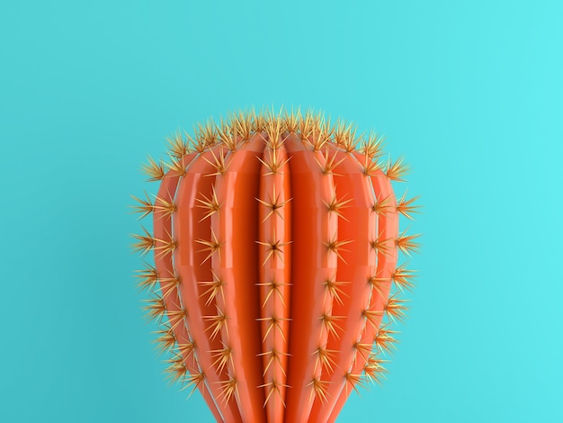 Orange Cactus on blue background