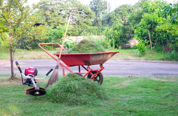 Orange cart is packing cut green grass in the front yard for disposal, mowing, home care, green lawn