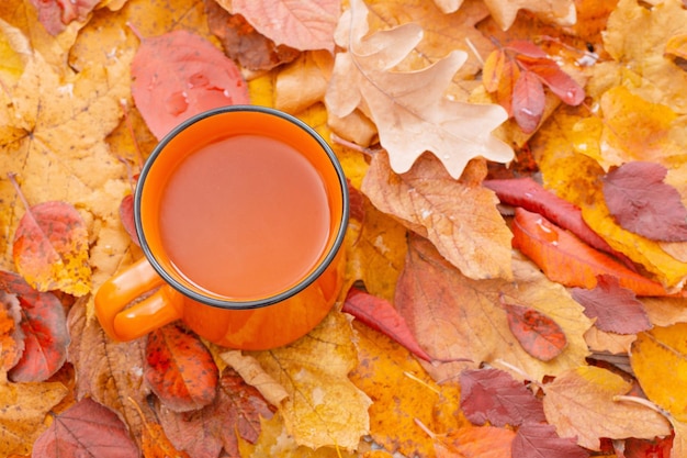 Orange cup of tea on background of autumnal leaves