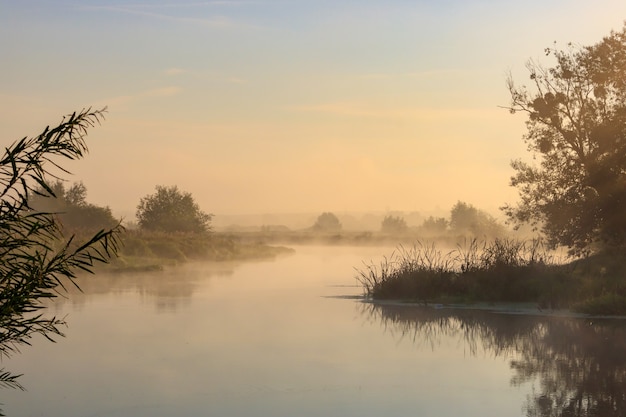 Orange dawn on the river in sunny summer morning. River landscape