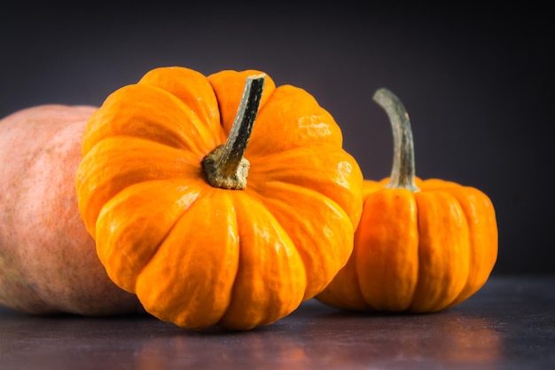 Orange decorative pumpkins on a gray background