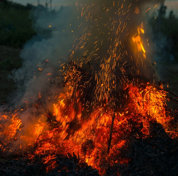 Orange fire flames. Big fire in the village