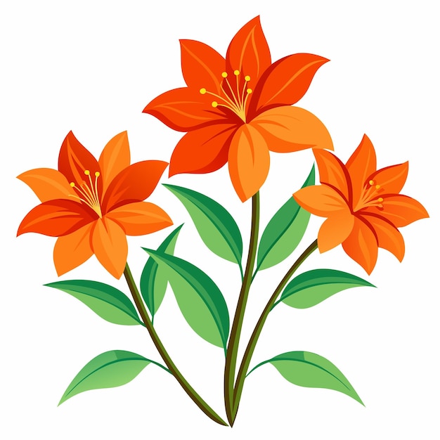 Orange Flowers on White