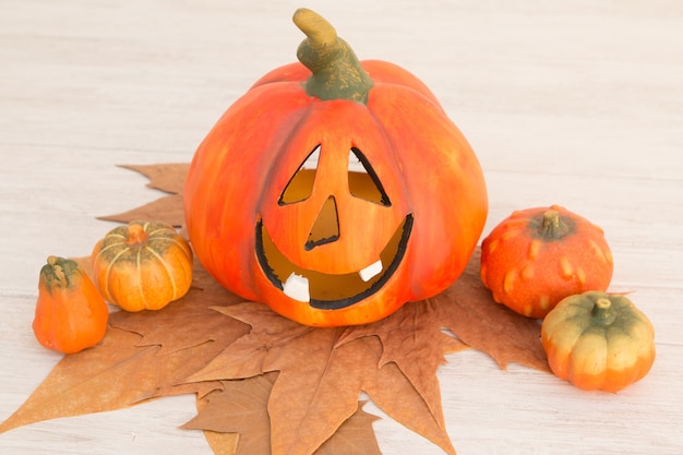 Orange Halloween pumpkin and many small pumpkins