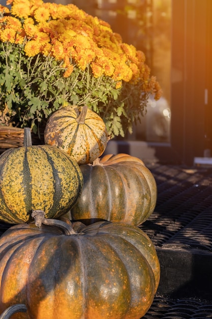 Orange halloween pumpkins on stack of hay or straw in sunny day Halloween decorations