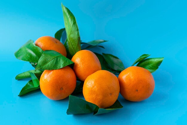 Orange juicy ripe tangerines with green leaves on a blue background