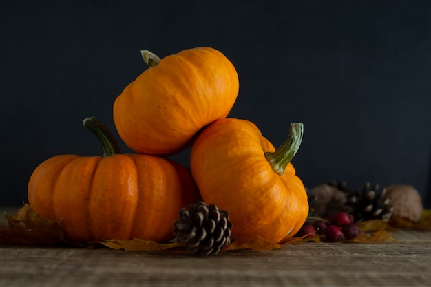 Orange littlep pumpkins on dark wood