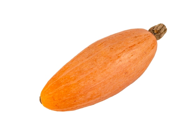 Orange oval pumpkin on a white isolated background