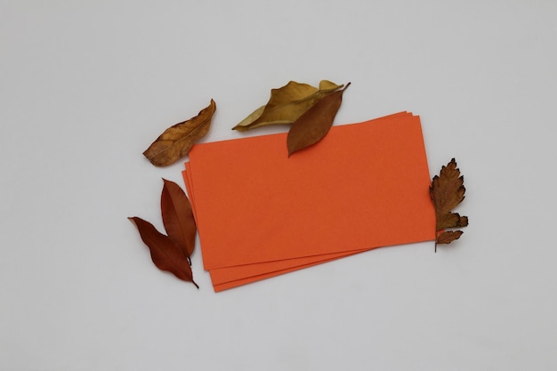 Orange paper on a white background with leaves on it