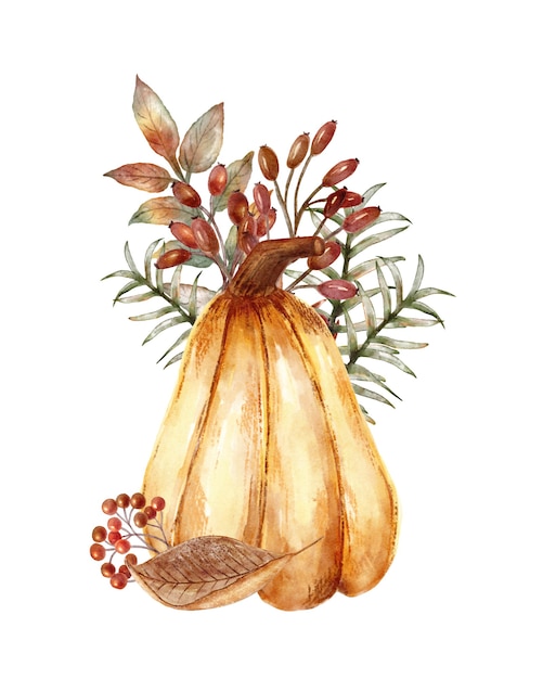 Orange pumpkin arrangement with fall leaves and berries, hand drawn illustration isolated on white backgroubd