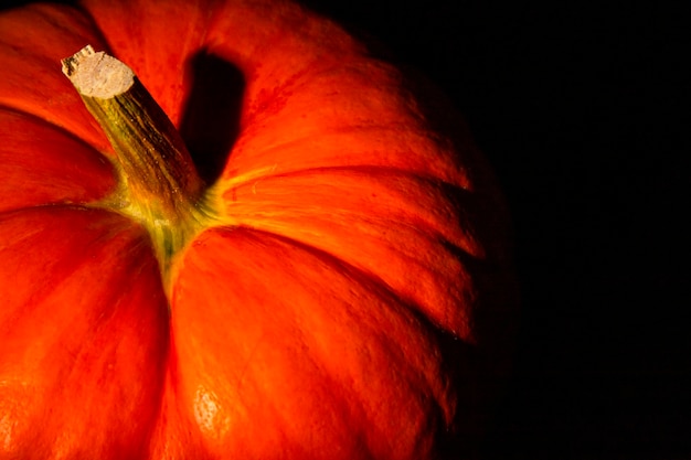 Orange pumpkin closeup pattern and texture of the peel with the stalk Background