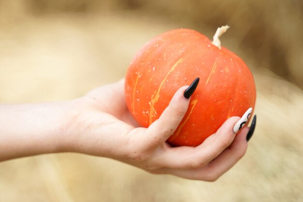 Orange pumpkin on a female palm with black manicure on the nails