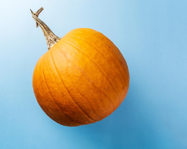 Orange pumpkin isolated over the blue background top view