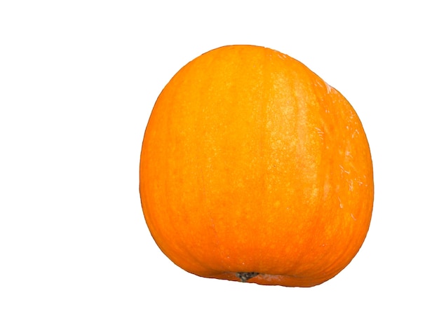 Orange pumpkin isolated on a white background by sending