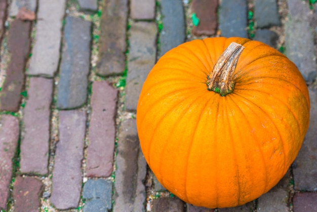 Orange pumpkin on a pavement.