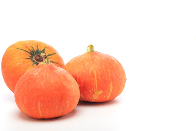 Orange pumpkin on white background