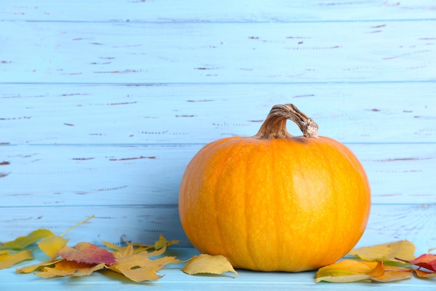 Photo orange pumpkin with leaves on a blue background.